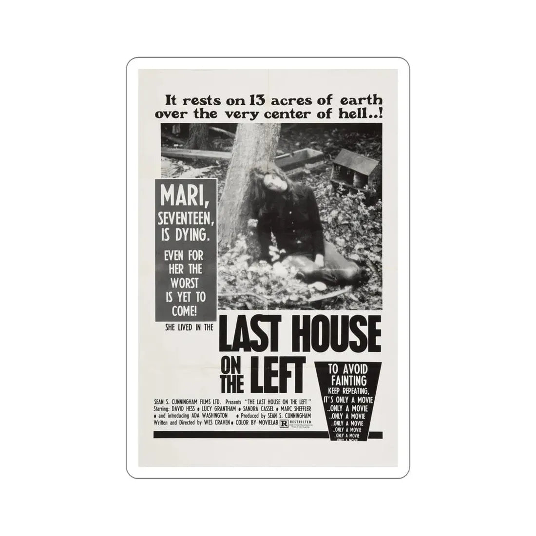 The Last House on the Left 1972 Movie Poster STICKER Vinyl Die-Cut Decal 5 Inch - The Sticker Space