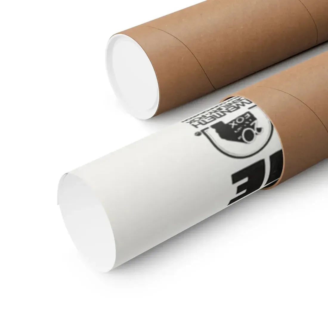 THE PHANTOM OF THE PARADISE 1974 - Paper Movie Poster - The Sticker Space