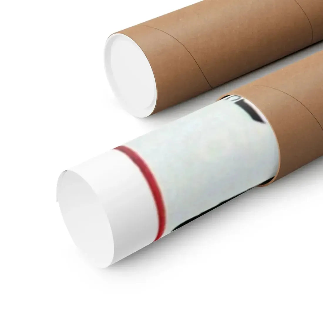 THE RAVAGED 1971 - Paper Movie Poster - The Sticker Space