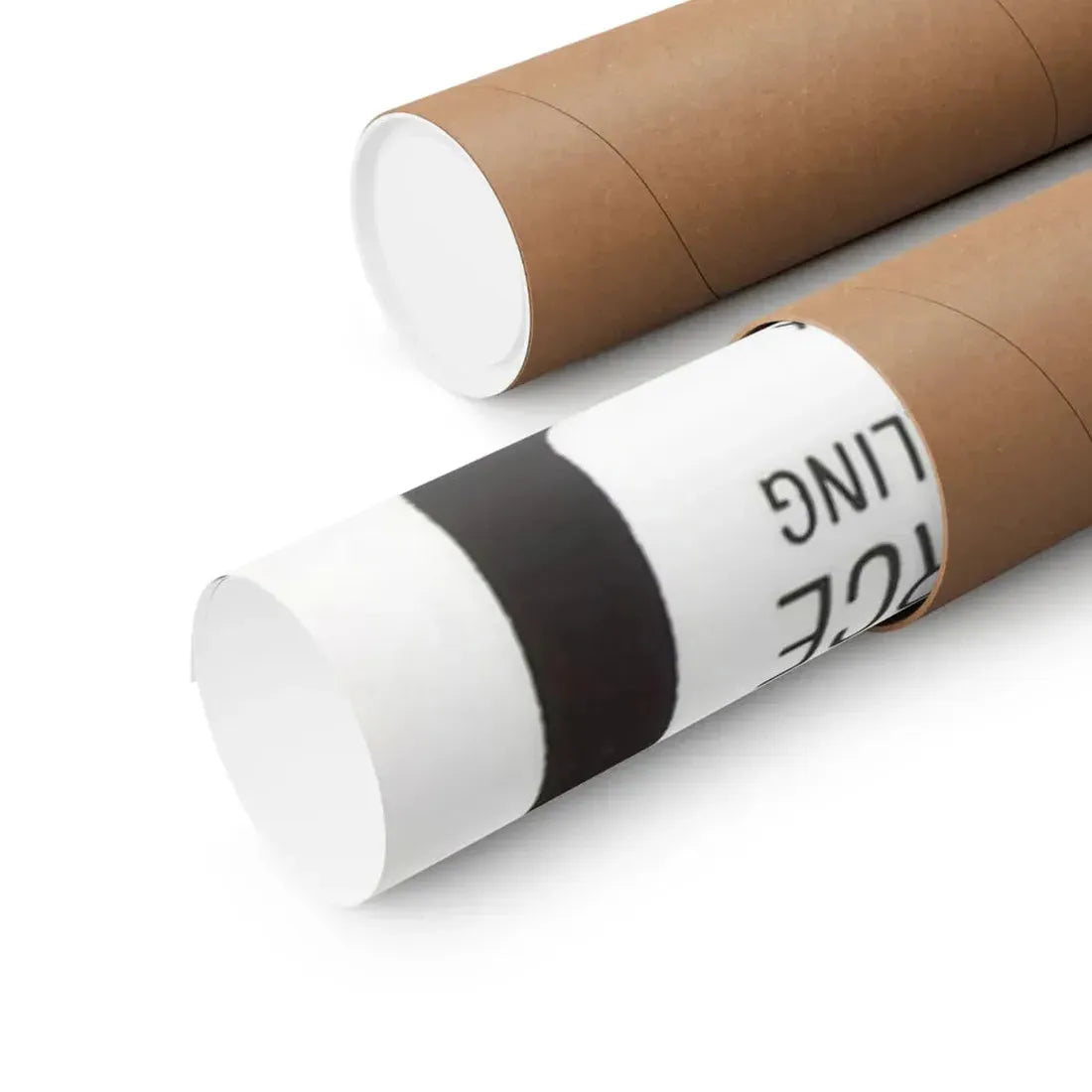 THE REPTILE 1966 - Paper Movie Poster - The Sticker Space