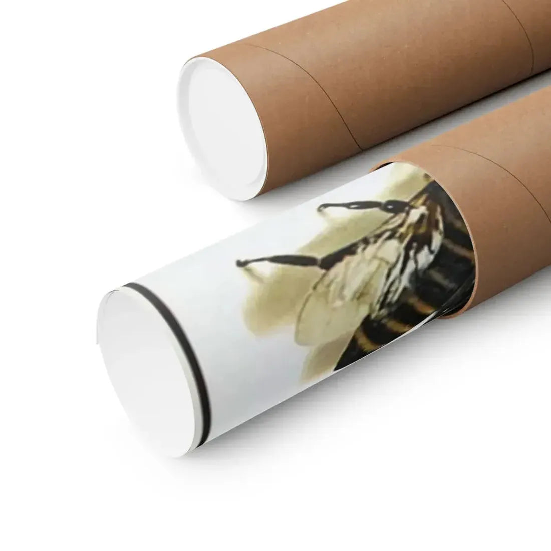 THE SAVAGE BEES 1976 - Paper Movie Poster - The Sticker Space