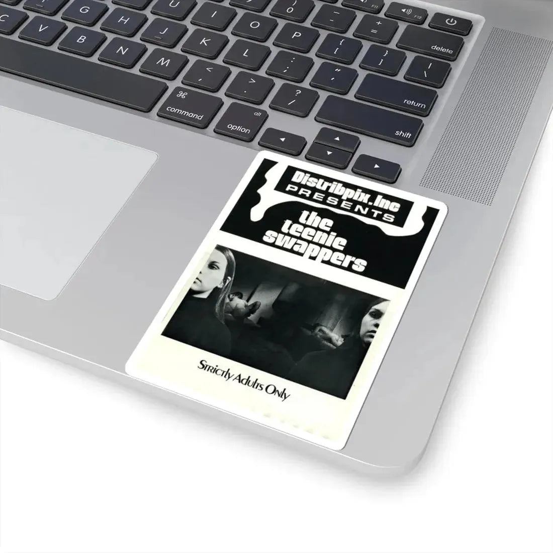 THE TEENIE SWAPPERS 1969 Movie Poster - STICKER Vinyl Kiss-Cut Decal - The Sticker Space