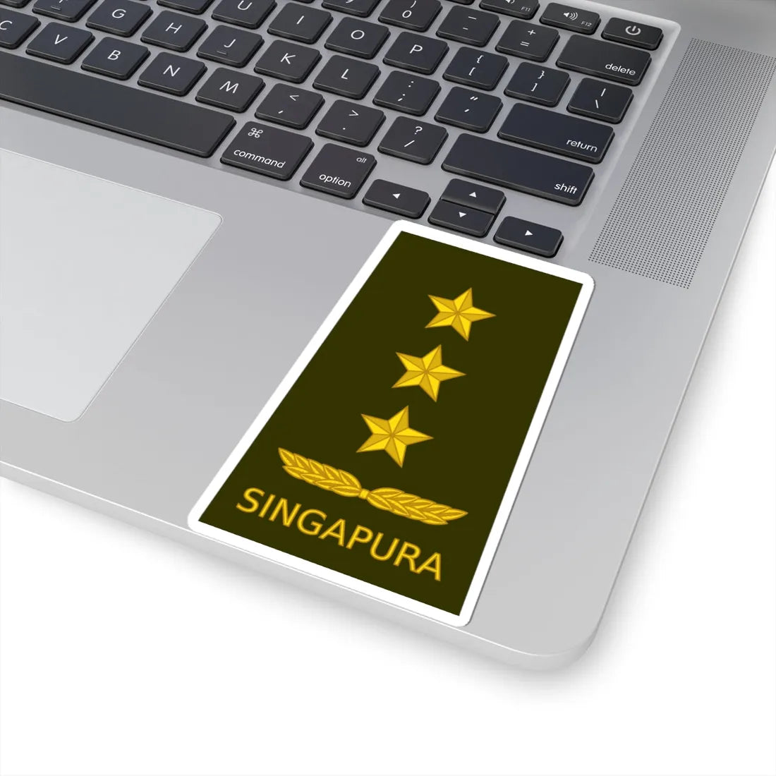 10 RSA OF08 (Singapore) (Military Rank) STICKER Vinyl Kiss-Cut Decal - The Sticker Space