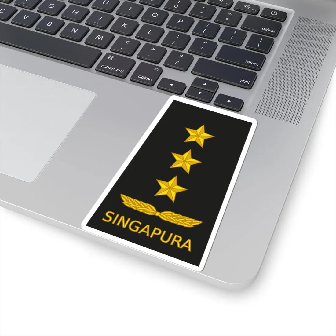 10 RSN OF08 (Singapore) (Military Rank) STICKER Vinyl Kiss-Cut Decal - The Sticker Space