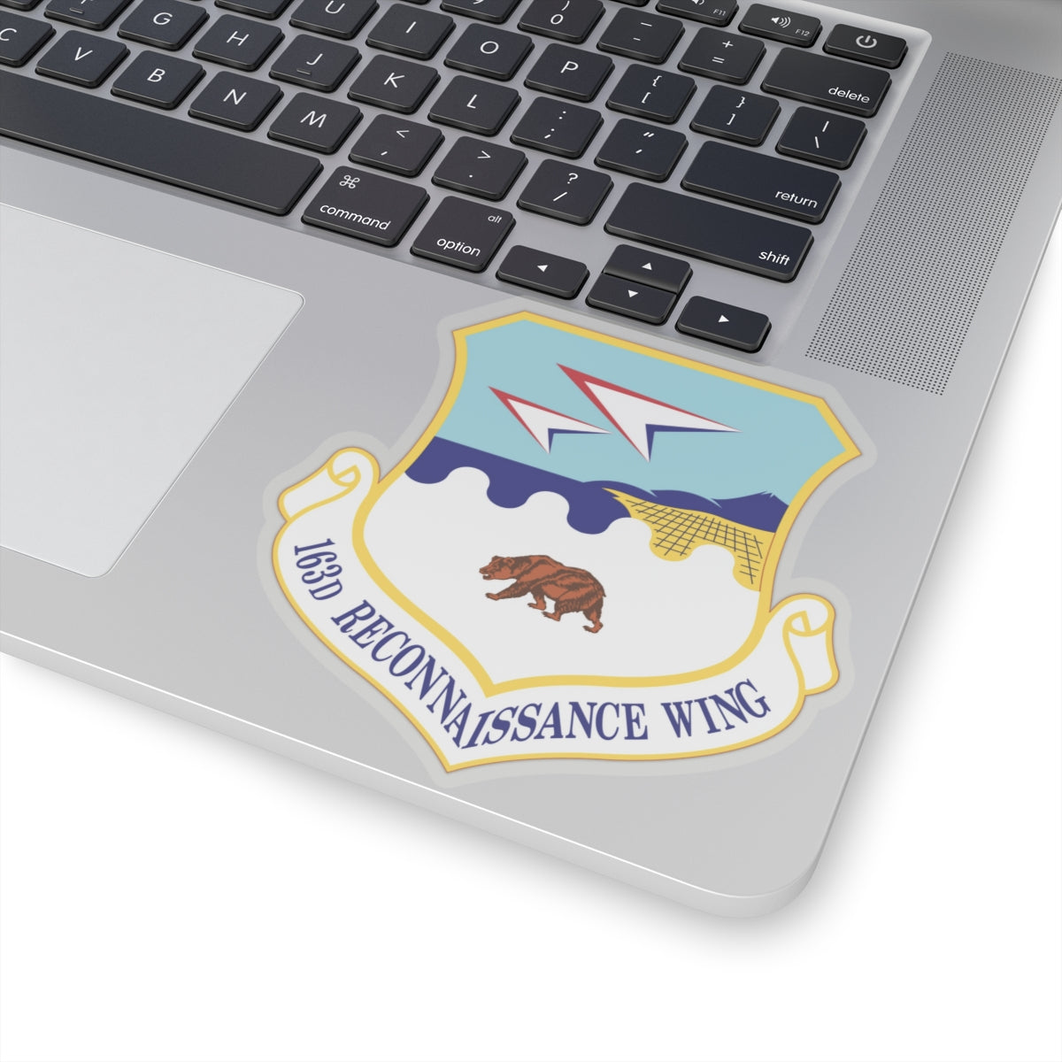 163d Reconnaissance Wing (U.S. Air Force) STICKER Vinyl Kiss-Cut Decal-The Sticker Space