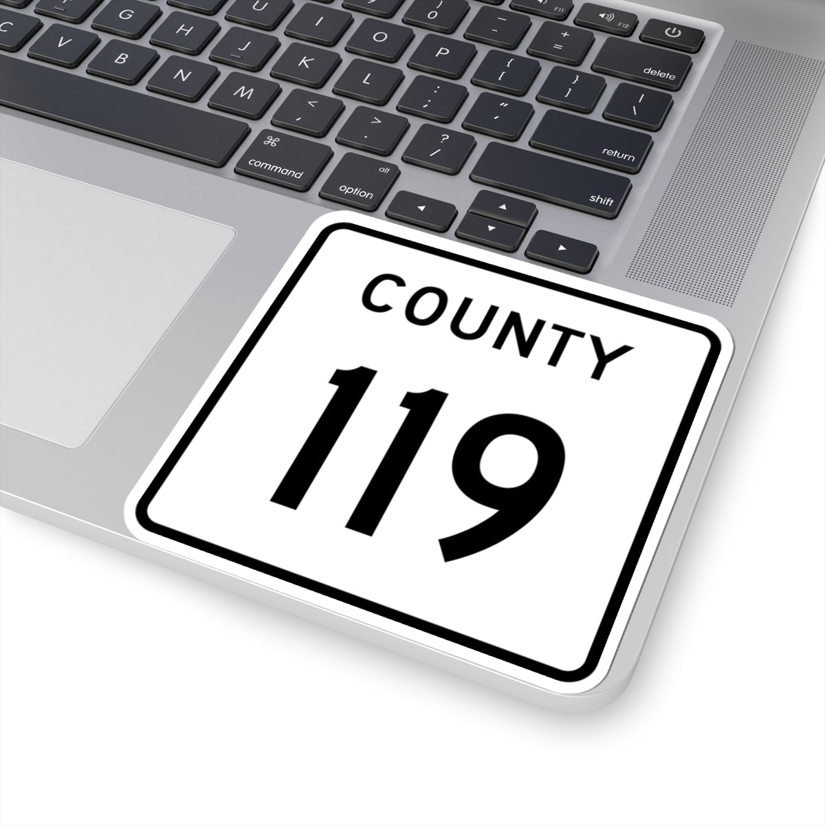 County 119 square (Minnesota) (Road Sign) STICKER Vinyl Kiss-Cut Decal