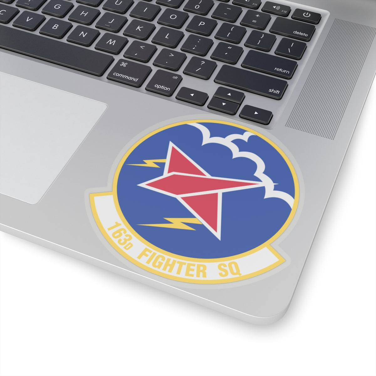 163 Fighter Squadron (U.S. Air Force) STICKER Vinyl Kiss-Cut Decal-The Sticker Space