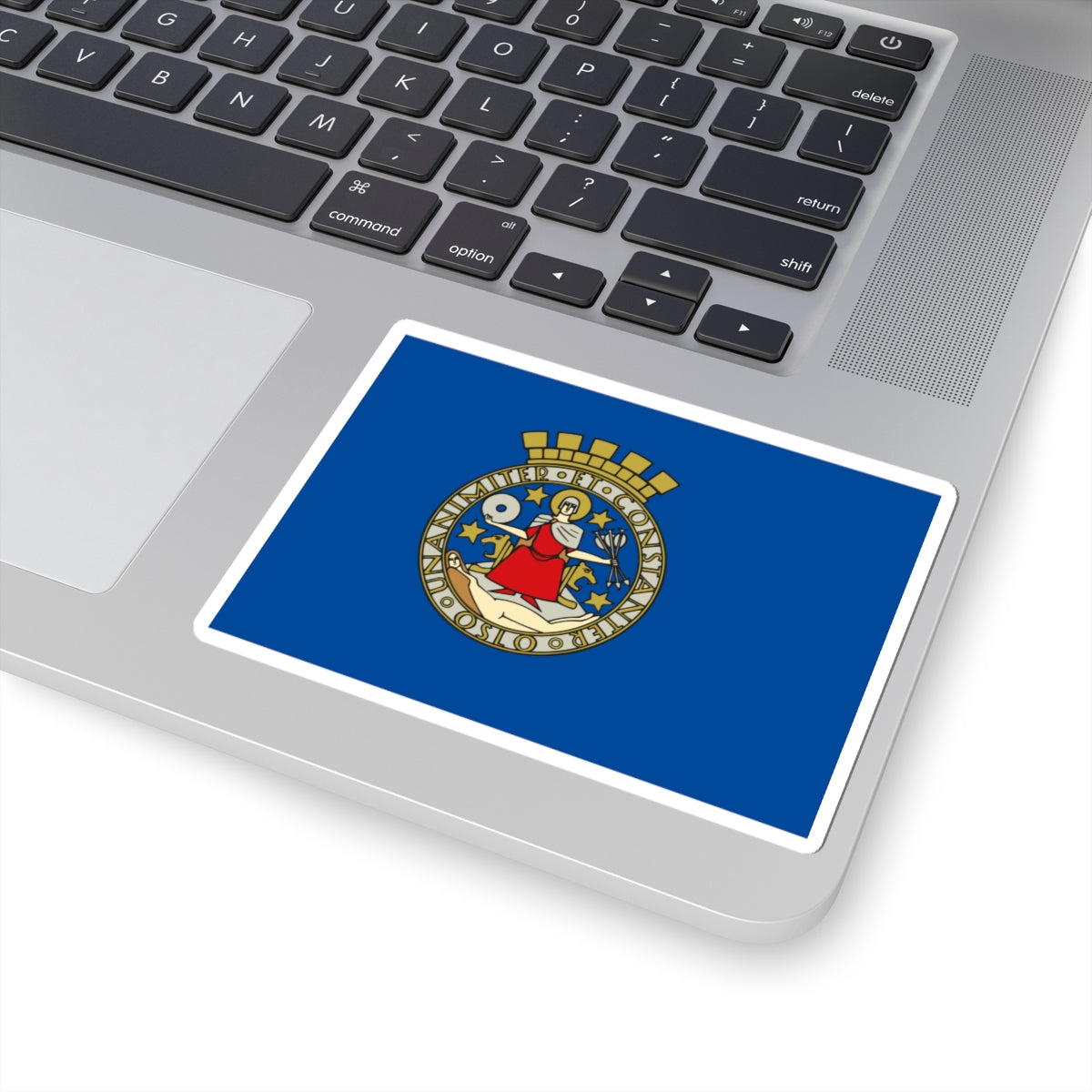 Flag of Oslo (Norway) STICKER Vinyl Kiss-Cut Decal