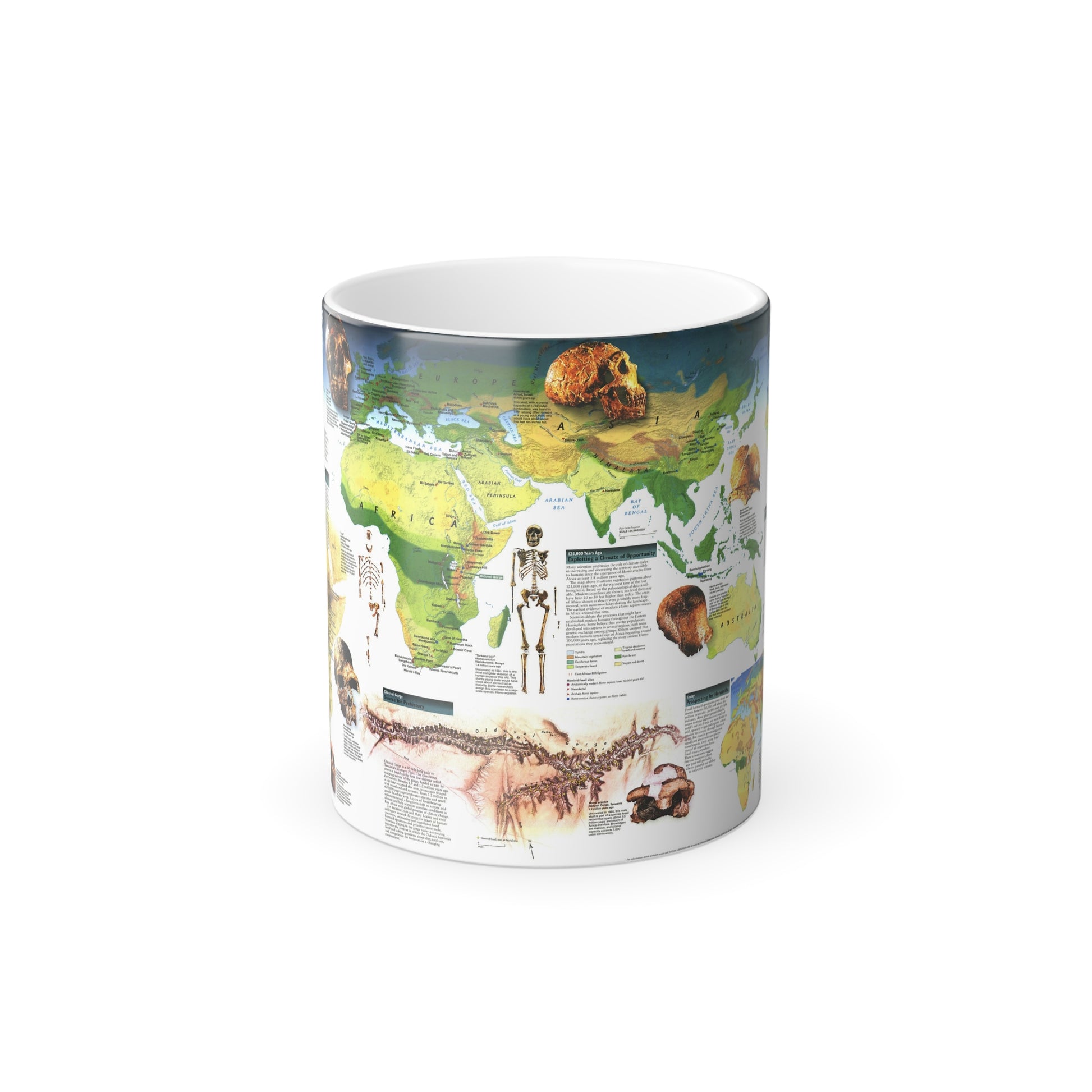 World Map - Dawn of Humans (1997) (Map) Color Changing Mug 11oz-11oz-The Sticker Space