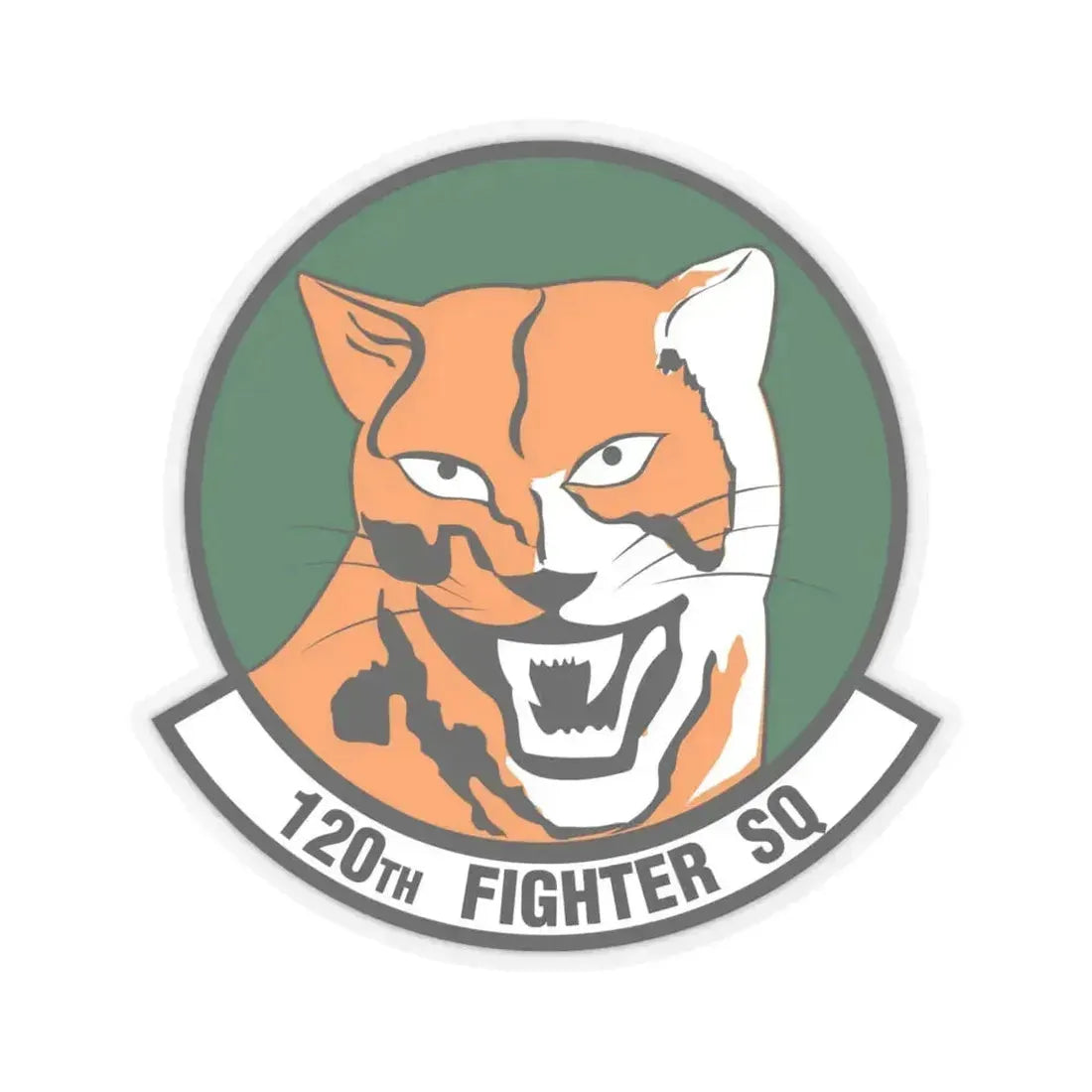 120th Fighter Squadron (U.S. Air Force) STICKER Vinyl Kiss-Cut Decal 6 Inch Transparent - The Sticker Space