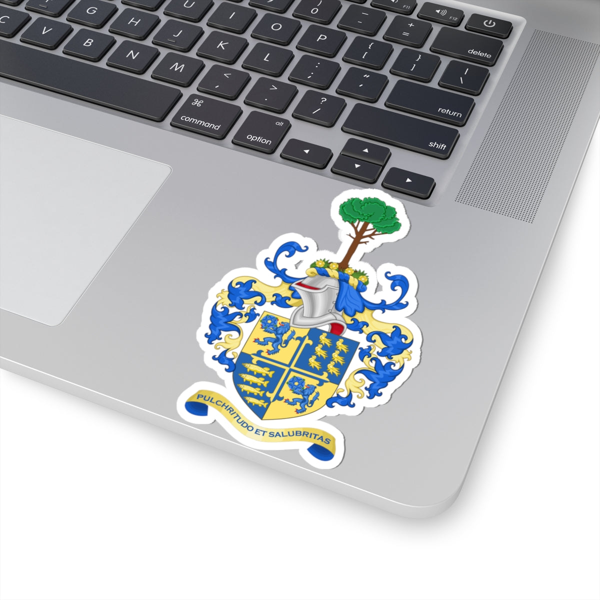 Arms of Bounemouth Borough Council (United Kingdom) (Coat of Arms) STICKER Vinyl Kiss-Cut Decal
