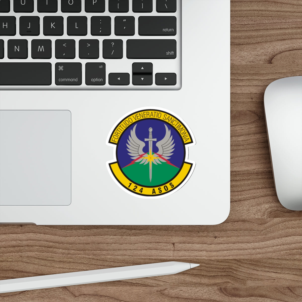 124th Air Support Operations Squadron (U.S. Air Force) STICKER Vinyl Die-Cut Decal-The Sticker Space