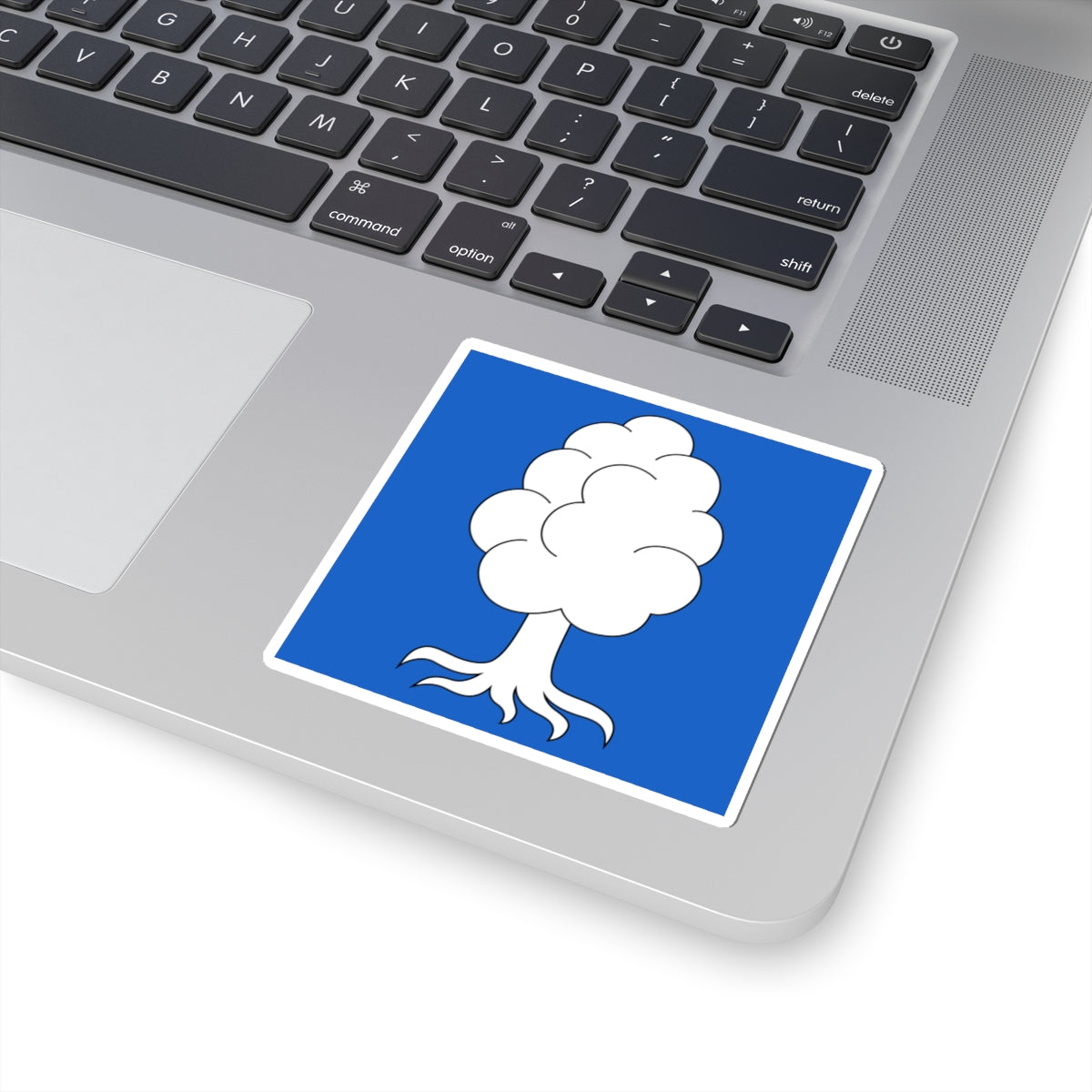 CHE Oberuster Flag (Switzerland) STICKER Vinyl Kiss-Cut Decal