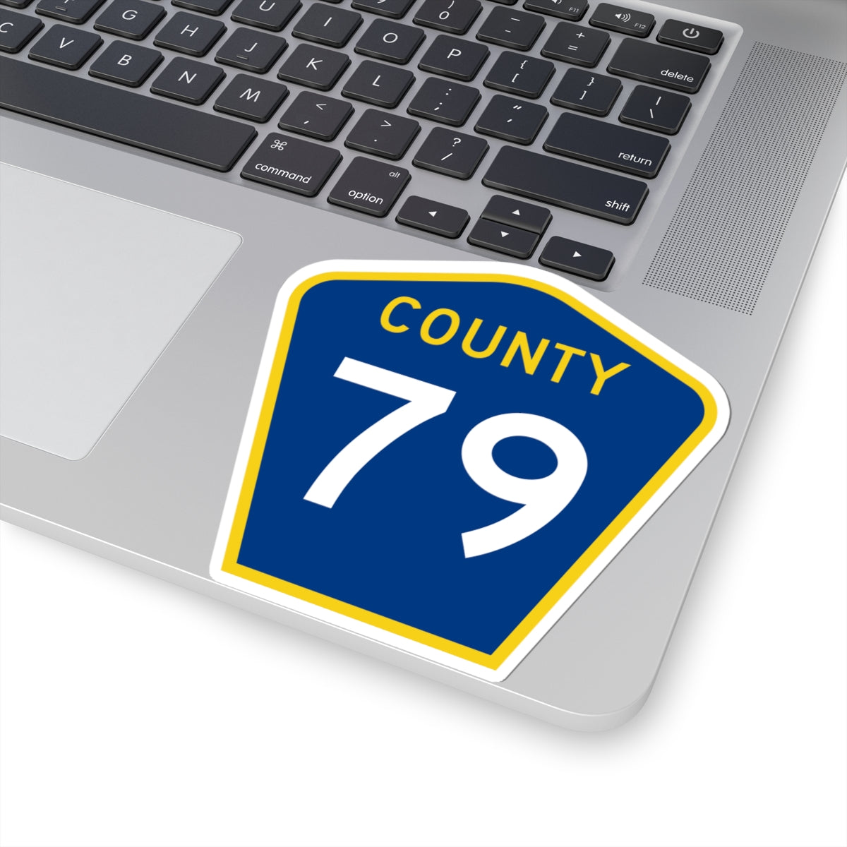 County 79 MN (Minnesota) (Road Sign) STICKER Vinyl Kiss-Cut Decal