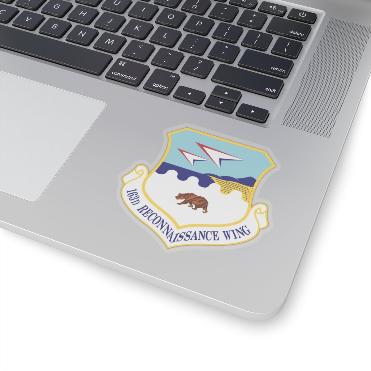 163d Reconnaissance Wing (U.S. Air Force) STICKER Vinyl Kiss-Cut Decal-The Sticker Space