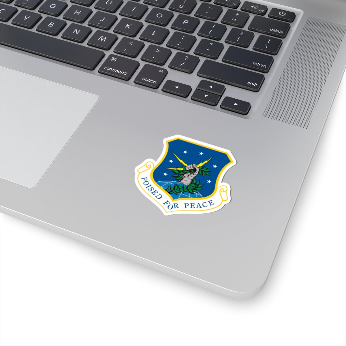 91st Space Wing (U.S. Air Force) STICKER Vinyl Kiss-Cut Decal