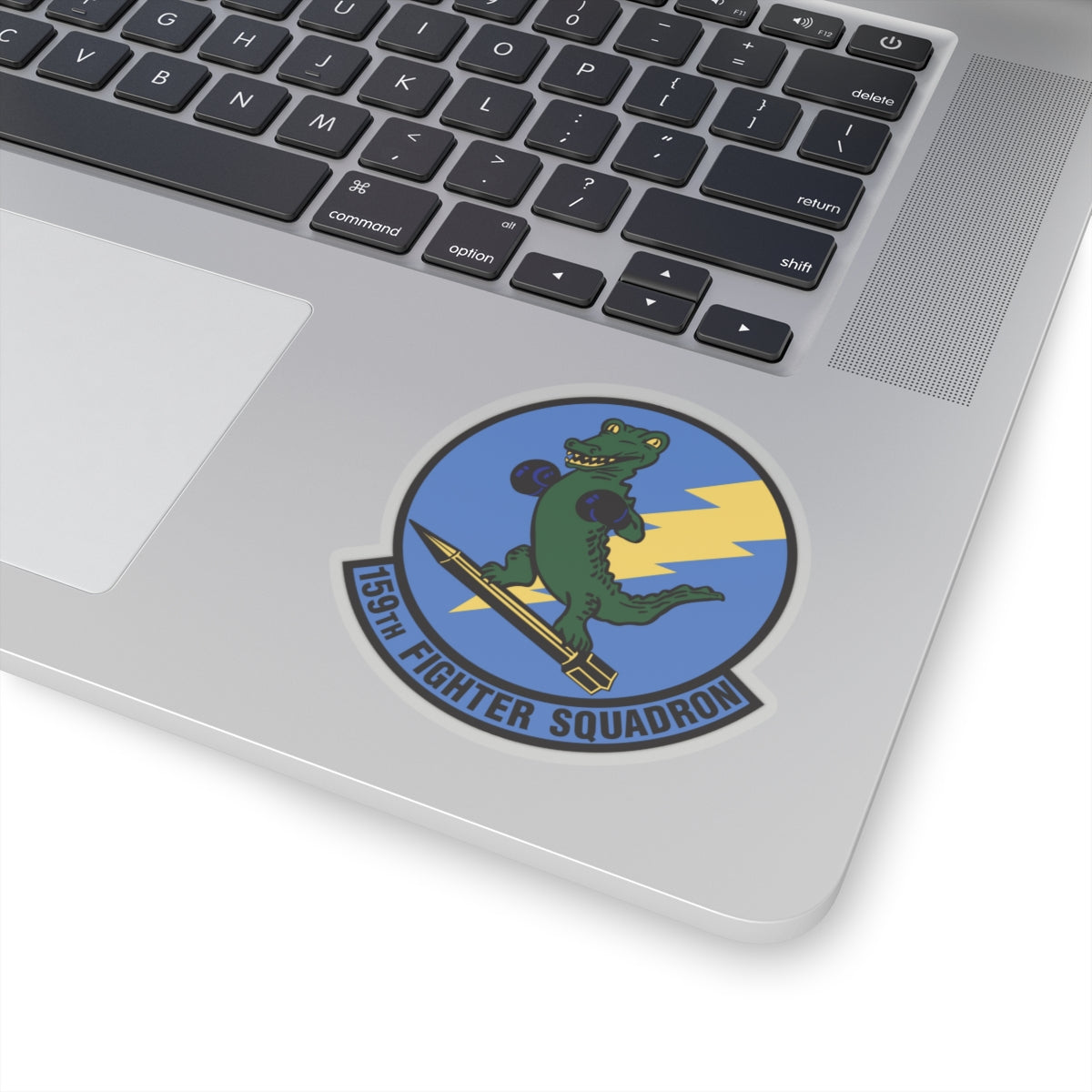 159th Fighter Squadron (U.S. Air Force) STICKER Vinyl Kiss-Cut Decal-The Sticker Space