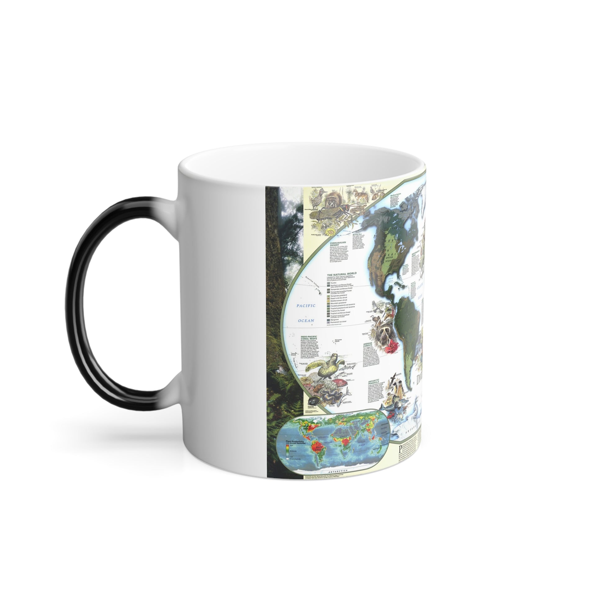 World Map - Diversity of Life (1999) (Map) Color Changing Mug 11oz-11oz-The Sticker Space
