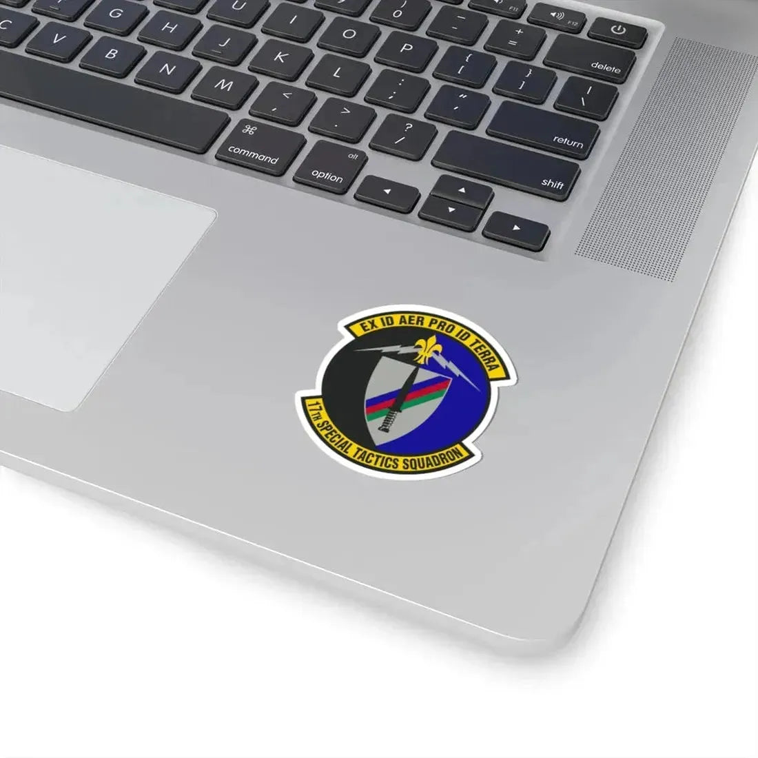 17th Special Tactics Squadron (U.S. Air Force) STICKER Vinyl Kiss-Cut Decal - The Sticker Space