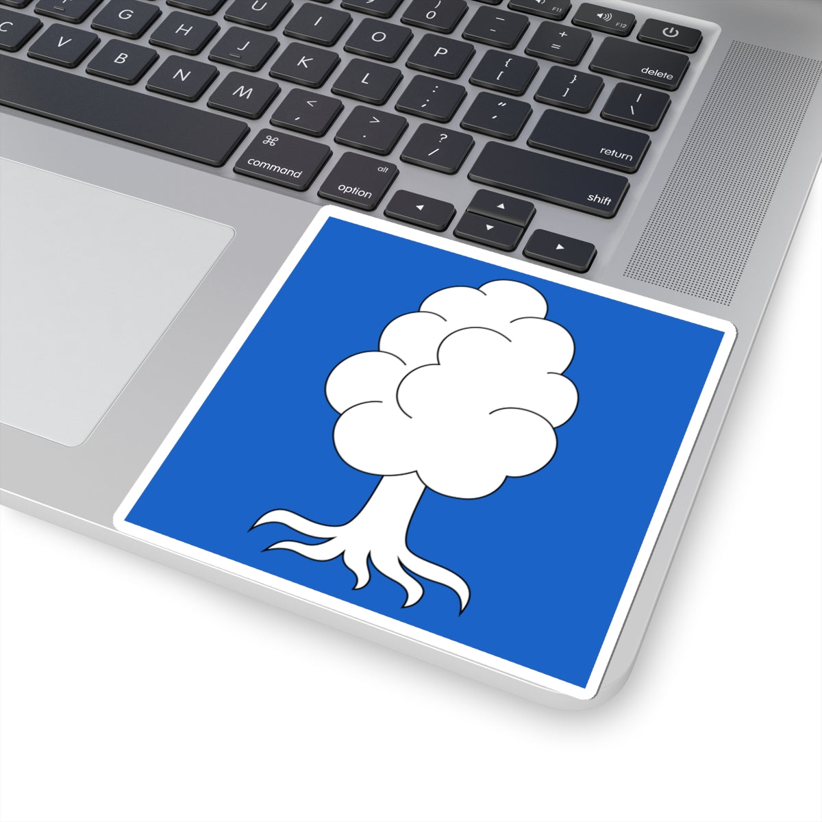 CHE Oberuster Flag (Switzerland) STICKER Vinyl Kiss-Cut Decal