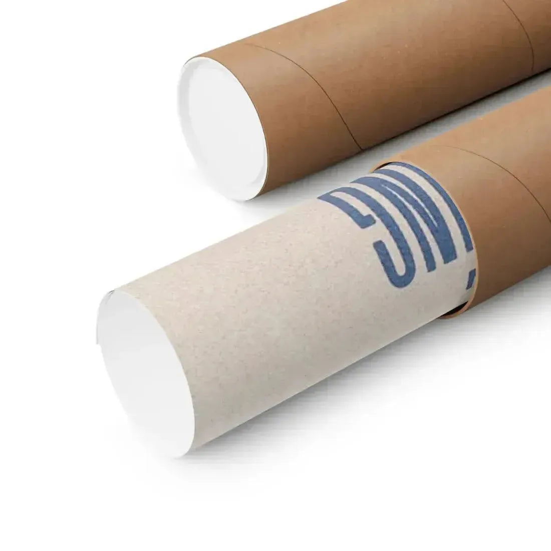 1984 1956 - Paper Movie Poster - The Sticker Space