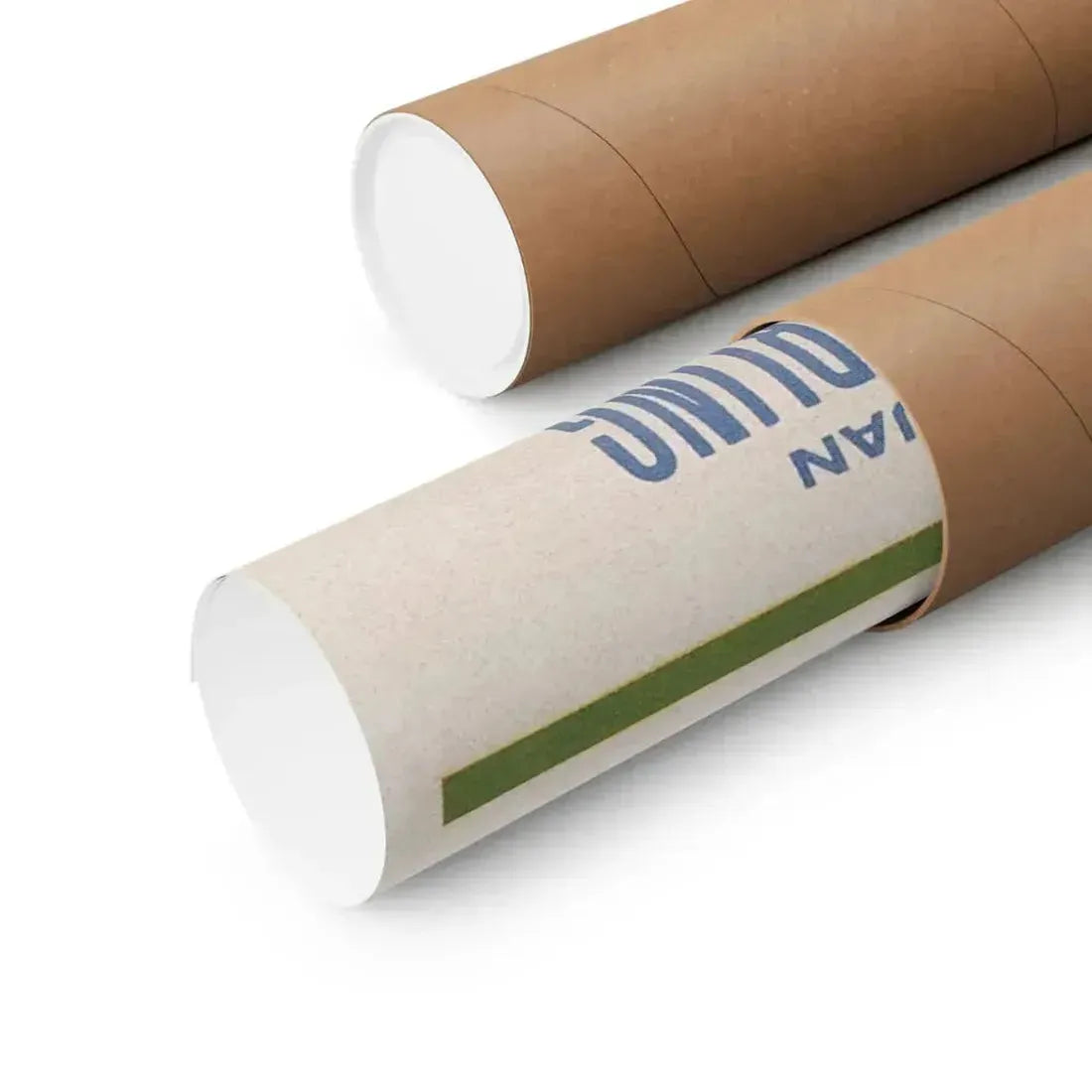 1984 1956 - Paper Movie Poster - The Sticker Space