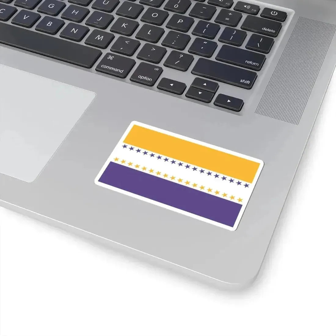 19th Amendment Victory Flag (United States) STICKER Vinyl Kiss-Cut Decal - The Sticker Space