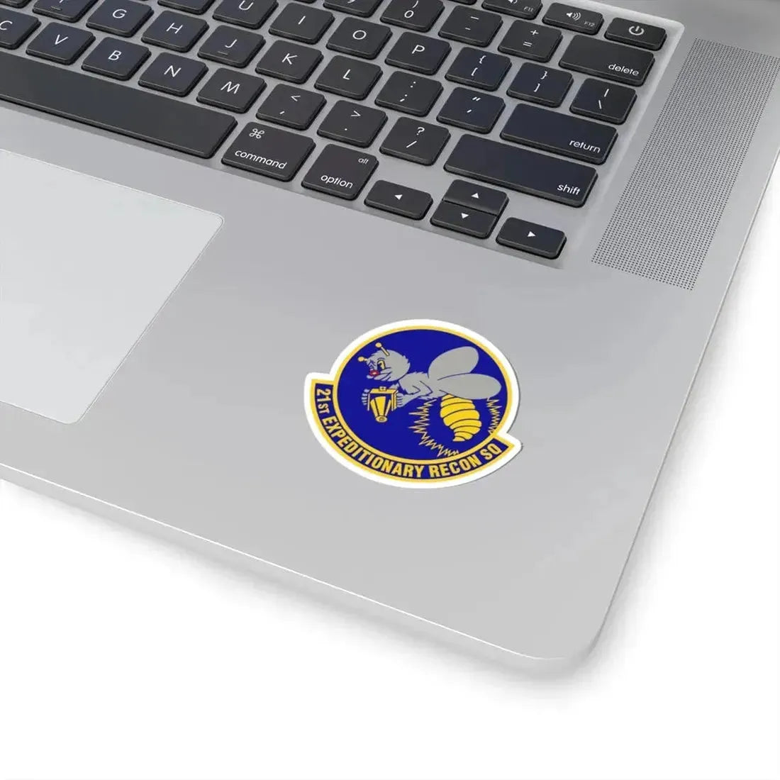 21st Expeditionary Reconnaissance Squadron (U.S. Air Force) STICKER Vinyl Kiss-Cut Decal - The Sticker Space