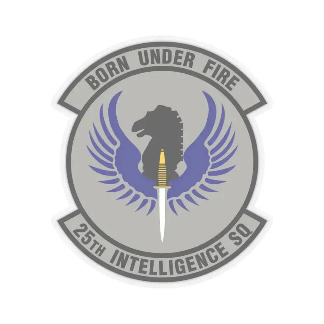 25 Intelligence Squadron AFISRA (U.S. Air Force) STICKER Vinyl Kiss-Cut Decal 3 Inch Transparent - The Sticker Space