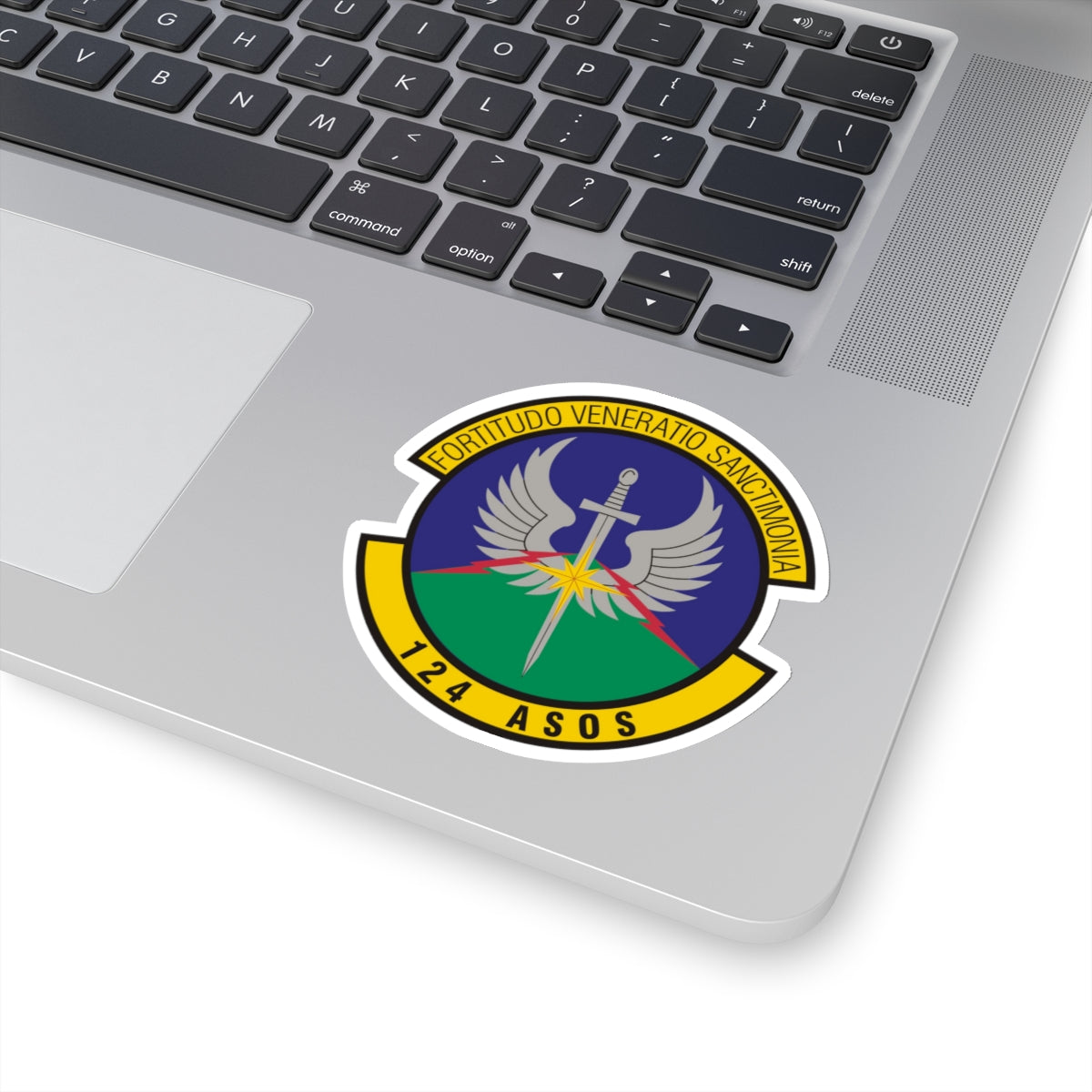 124th Air Support Operations Squadron (U.S. Air Force) STICKER Vinyl Kiss-Cut Decal-The Sticker Space