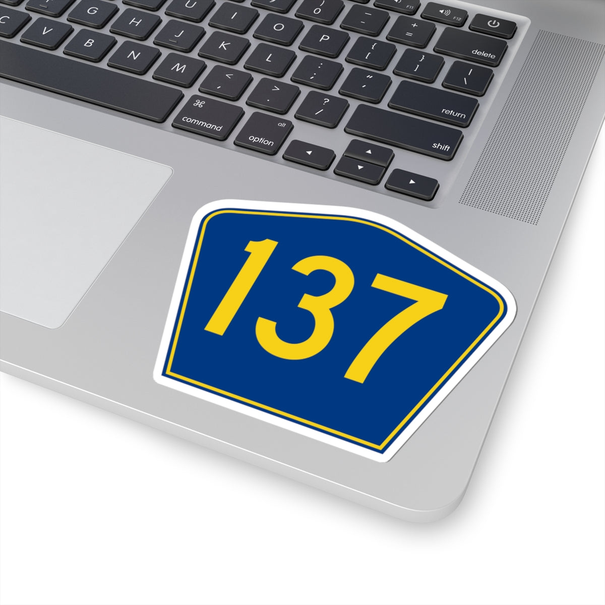 PR secondary 137 (Puerto Rico) (Road Sign) STICKER Vinyl Kiss-Cut Decal