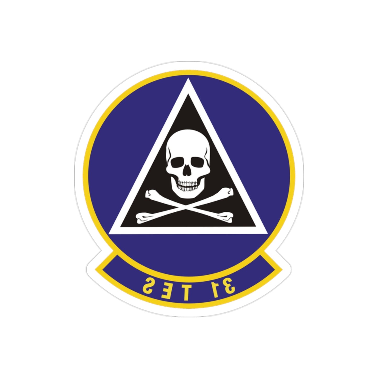 31st Test and Evaluation Squadron (U.S. Air Force) REVERSE PRINT Transparent STICKER-2" × 2"-The Sticker Space