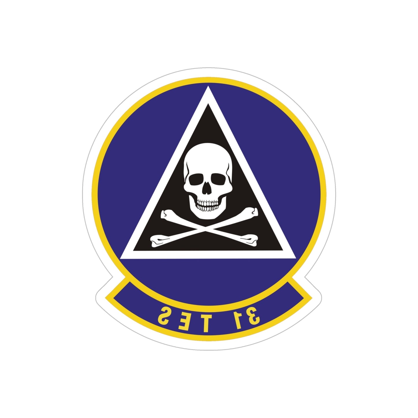 31st Test and Evaluation Squadron (U.S. Air Force) REVERSE PRINT Transparent STICKER-6" × 6"-The Sticker Space