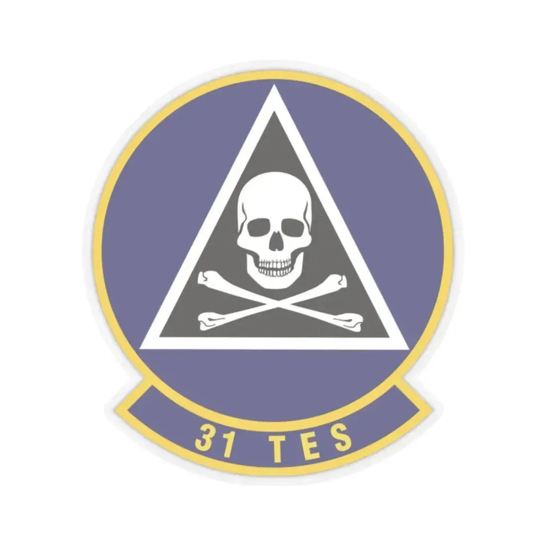 31st Test and Evaluation Squadron (U.S. Air Force) STICKER Vinyl Kiss-Cut Decal 2 Inch Transparent - The Sticker Space