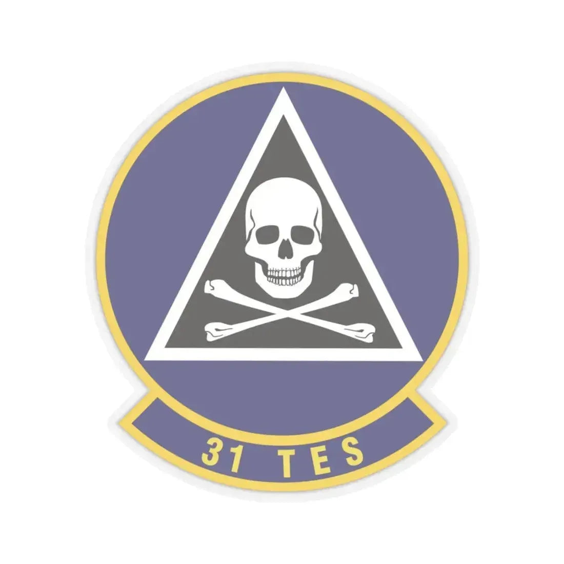 31st Test and Evaluation Squadron (U.S. Air Force) STICKER Vinyl Kiss-Cut Decal 6 Inch Transparent - The Sticker Space