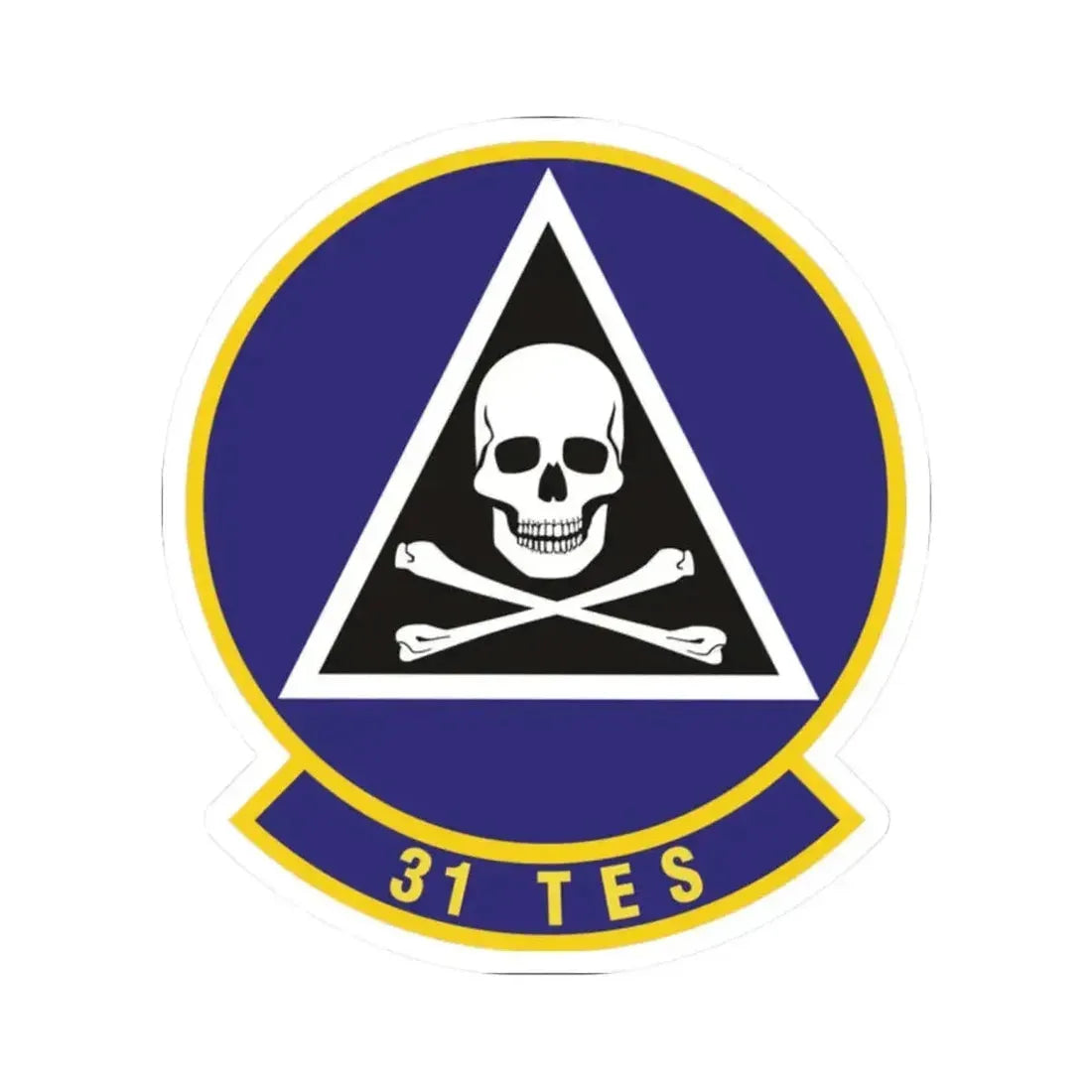 31st Test and Evaluation Squadron (U.S. Air Force) STICKER Vinyl Kiss-Cut Decal - The Sticker Space