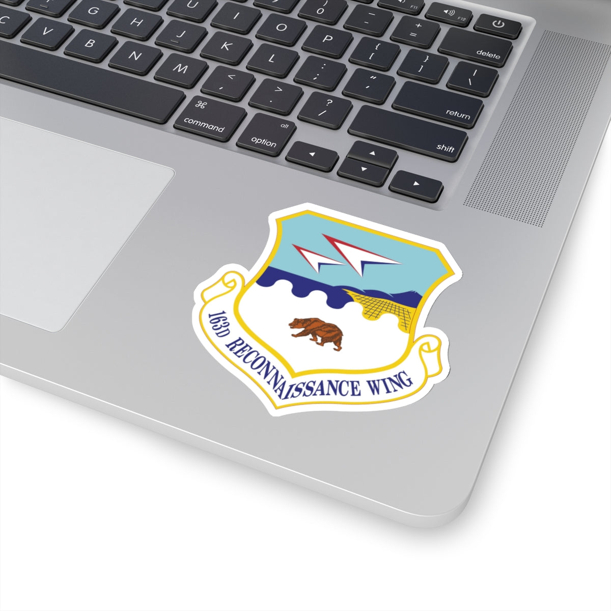 163d Reconnaissance Wing (U.S. Air Force) STICKER Vinyl Kiss-Cut Decal-The Sticker Space