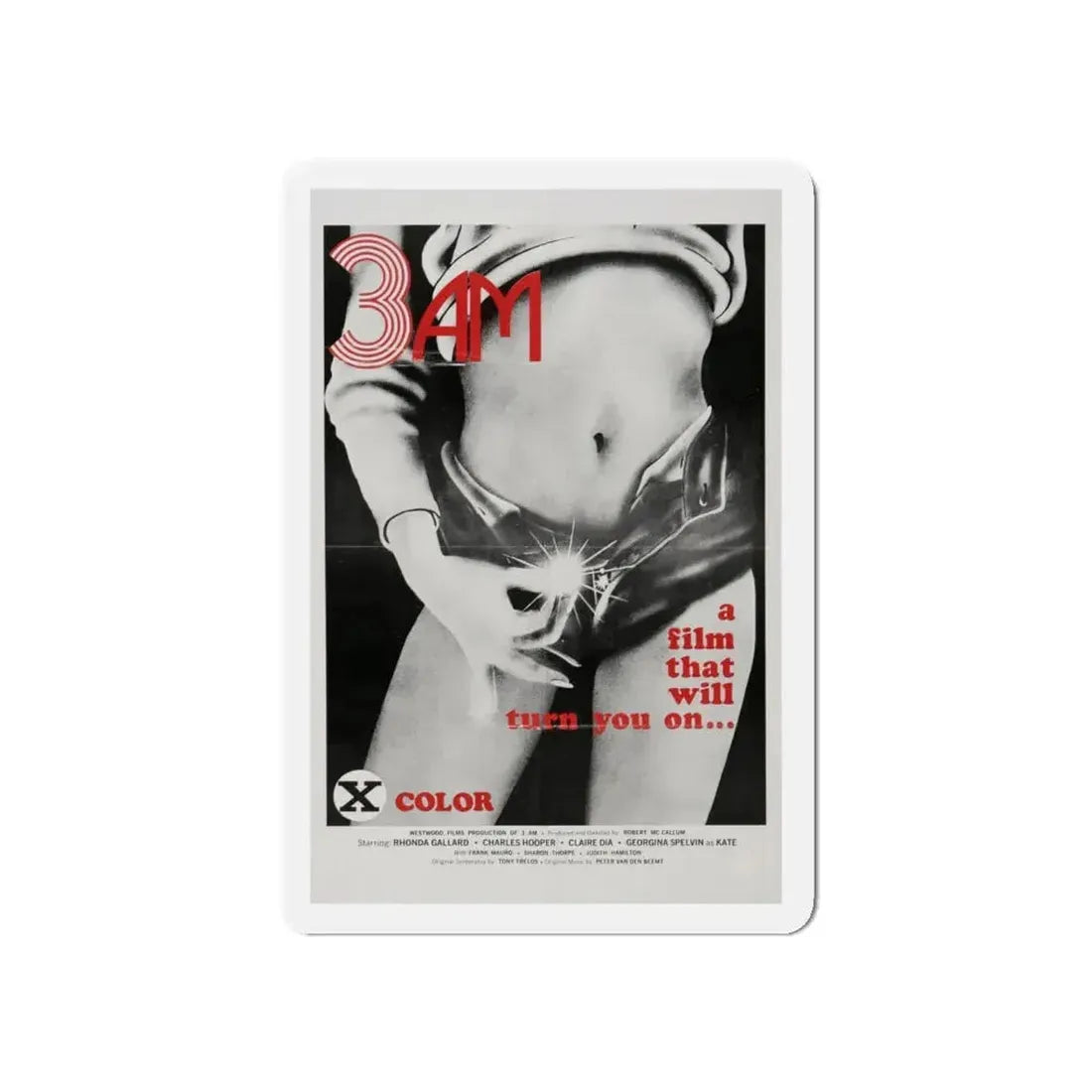 3AM 1975 Movie Poster - Refrigerator Magnet 5 Inch - The Sticker Space