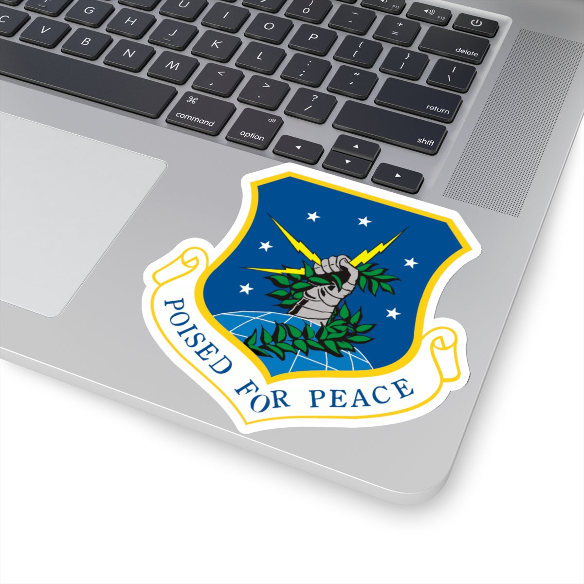 91st Space Wing (U.S. Air Force) STICKER Vinyl Kiss-Cut Decal