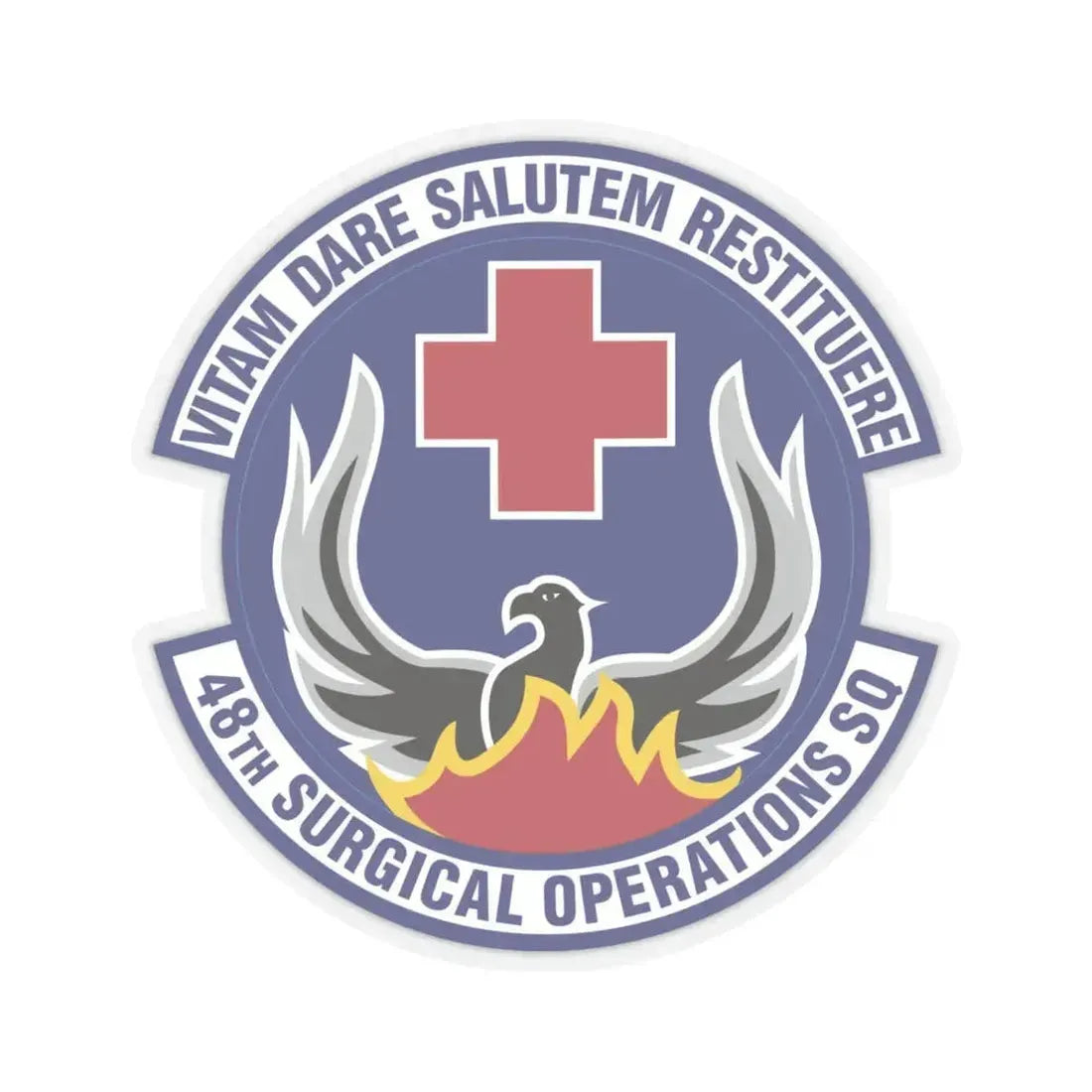48th Surgical Operations Squadron (U.S. Air Force) STICKER Vinyl Kiss-Cut Decal 6 Inch Transparent - The Sticker Space