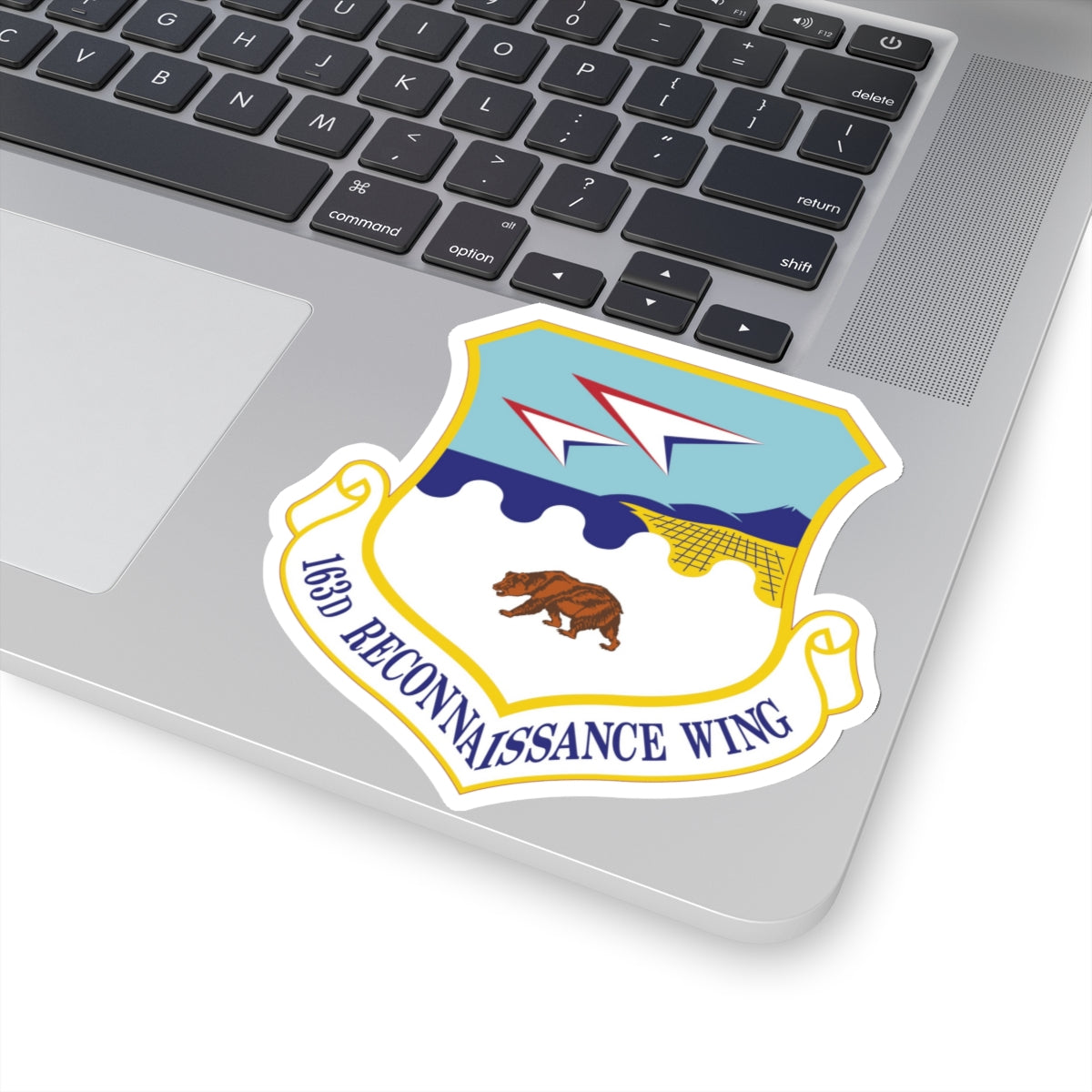 163d Reconnaissance Wing (U.S. Air Force) STICKER Vinyl Kiss-Cut Decal-The Sticker Space