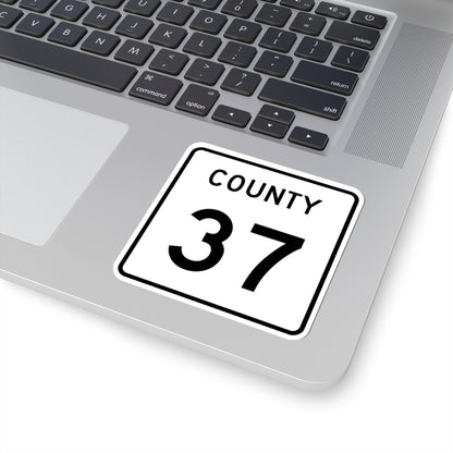 County 37 square (Minnesota) (Road Sign) STICKER Vinyl Kiss-Cut Decal