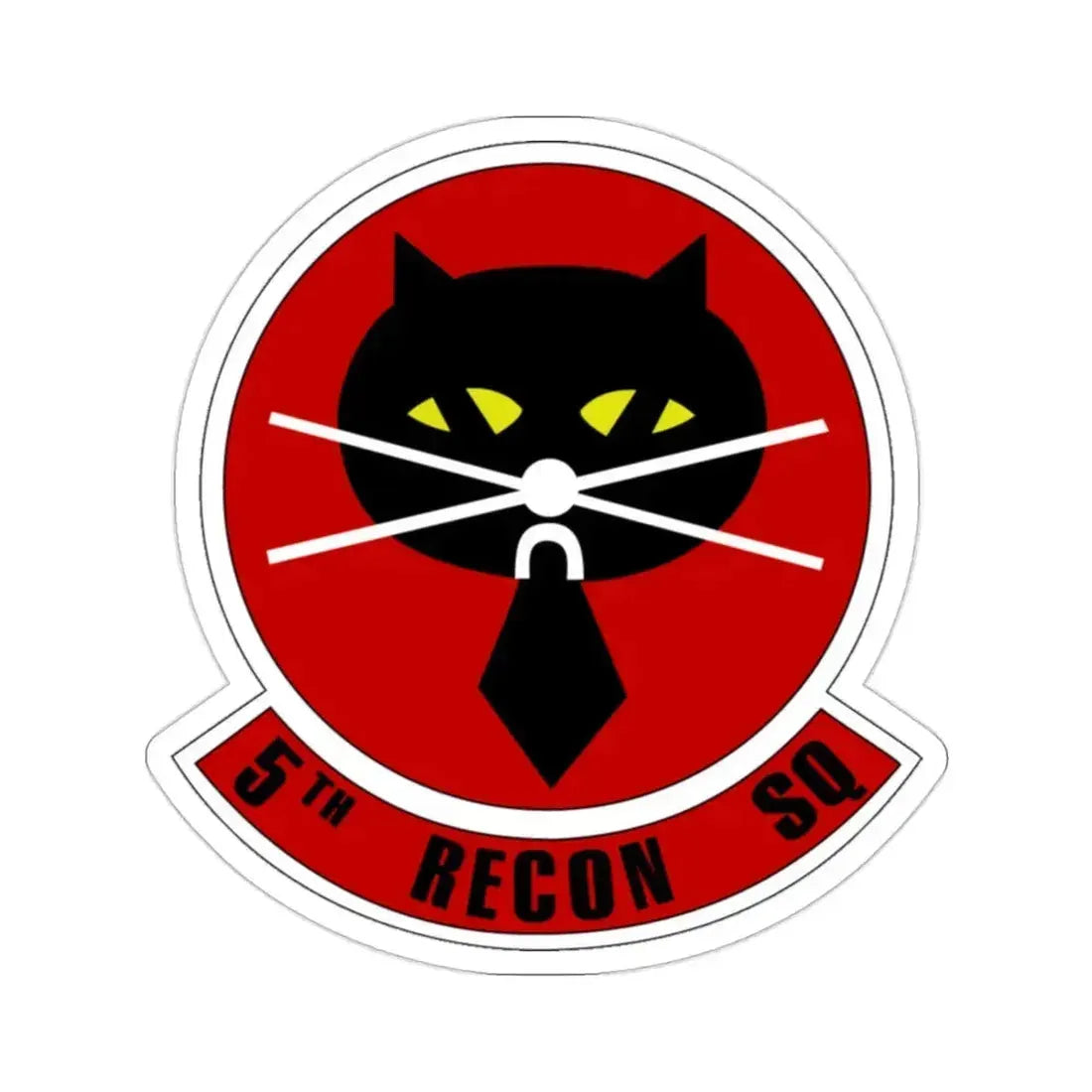 5th Reconnaissance Squadron (U.S. Air Force) STICKER Vinyl Die-Cut Decal 2 Inch - The Sticker Space