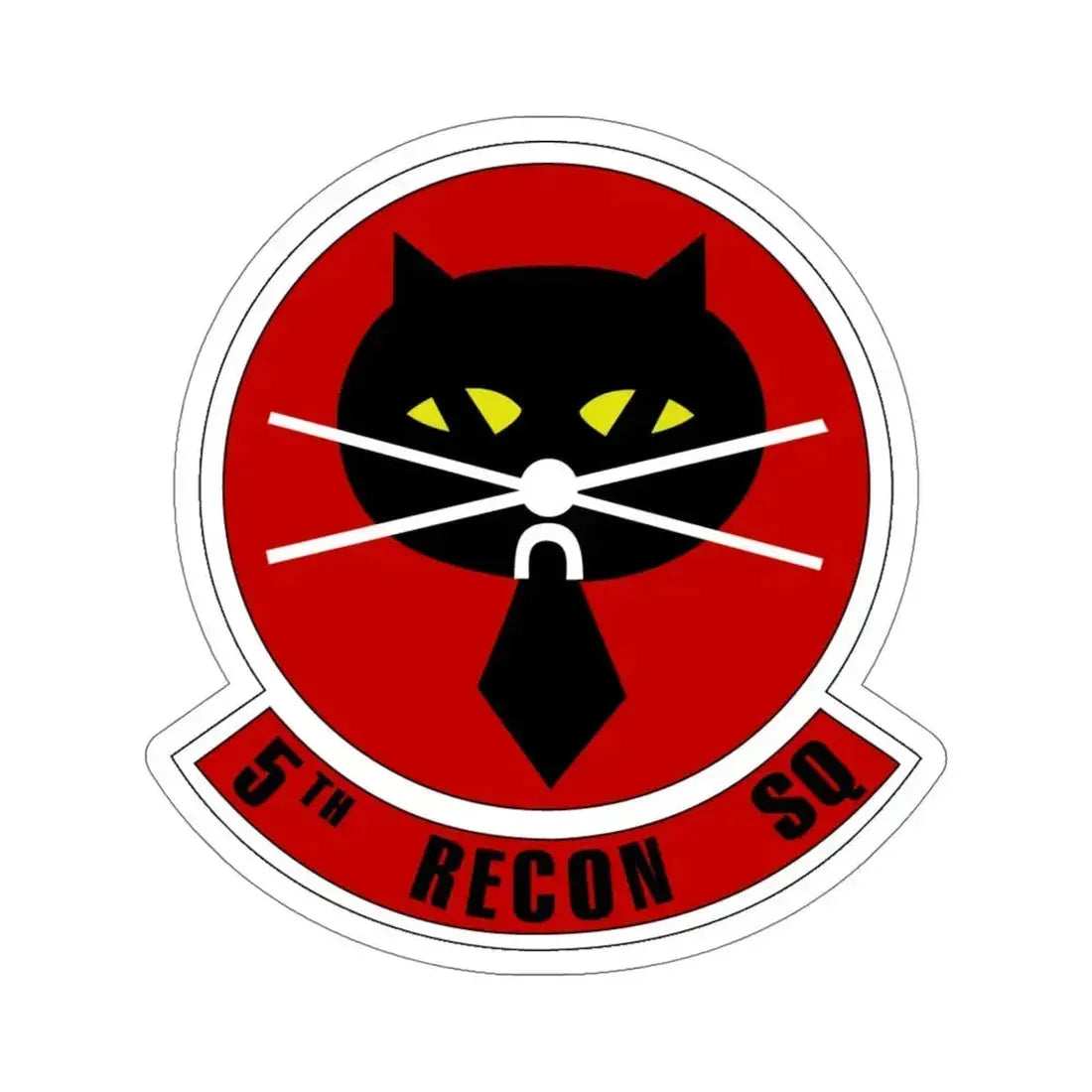 5th Reconnaissance Squadron (U.S. Air Force) STICKER Vinyl Die-Cut Decal 5 Inch - The Sticker Space