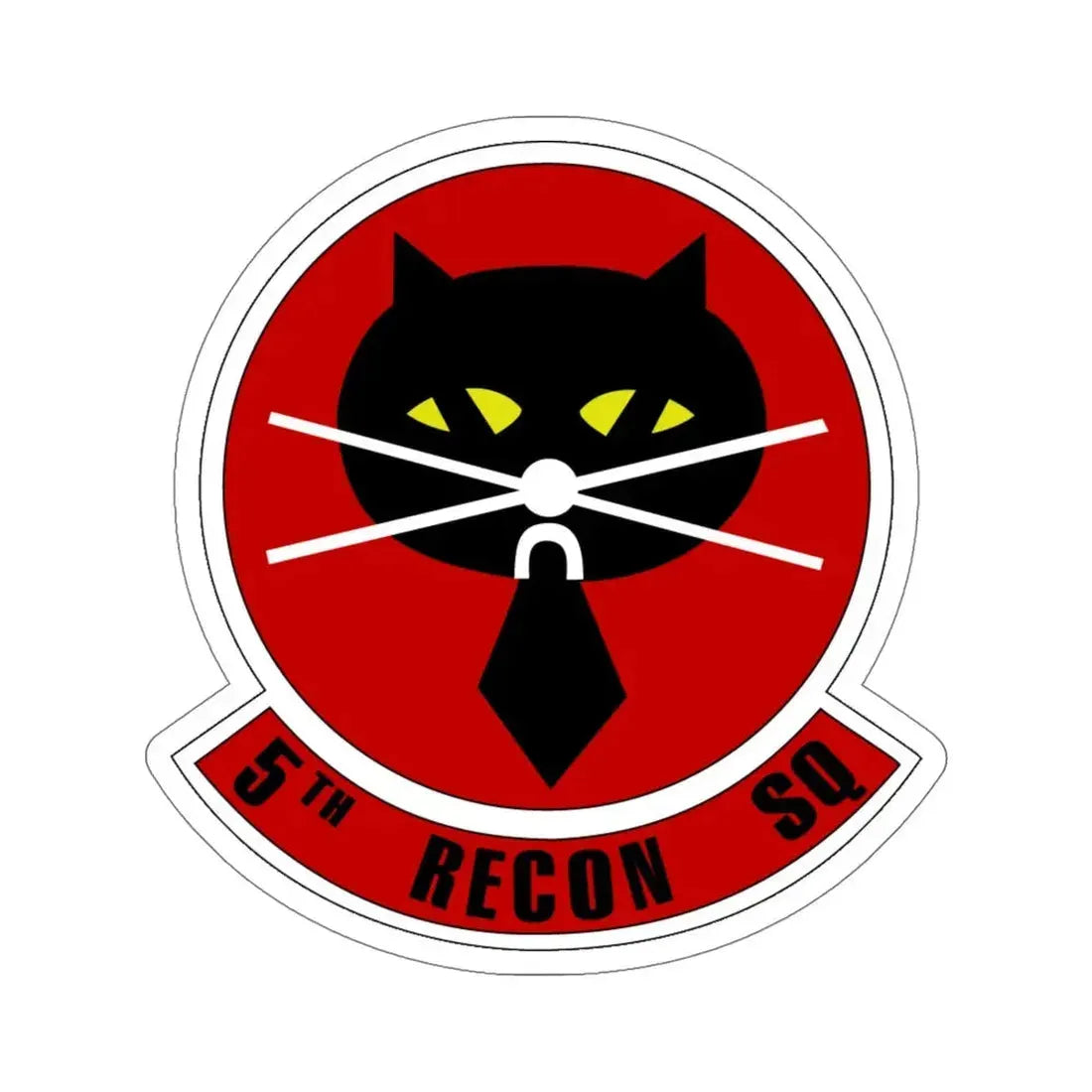 5th Reconnaissance Squadron (U.S. Air Force) STICKER Vinyl Die-Cut Decal - The Sticker Space
