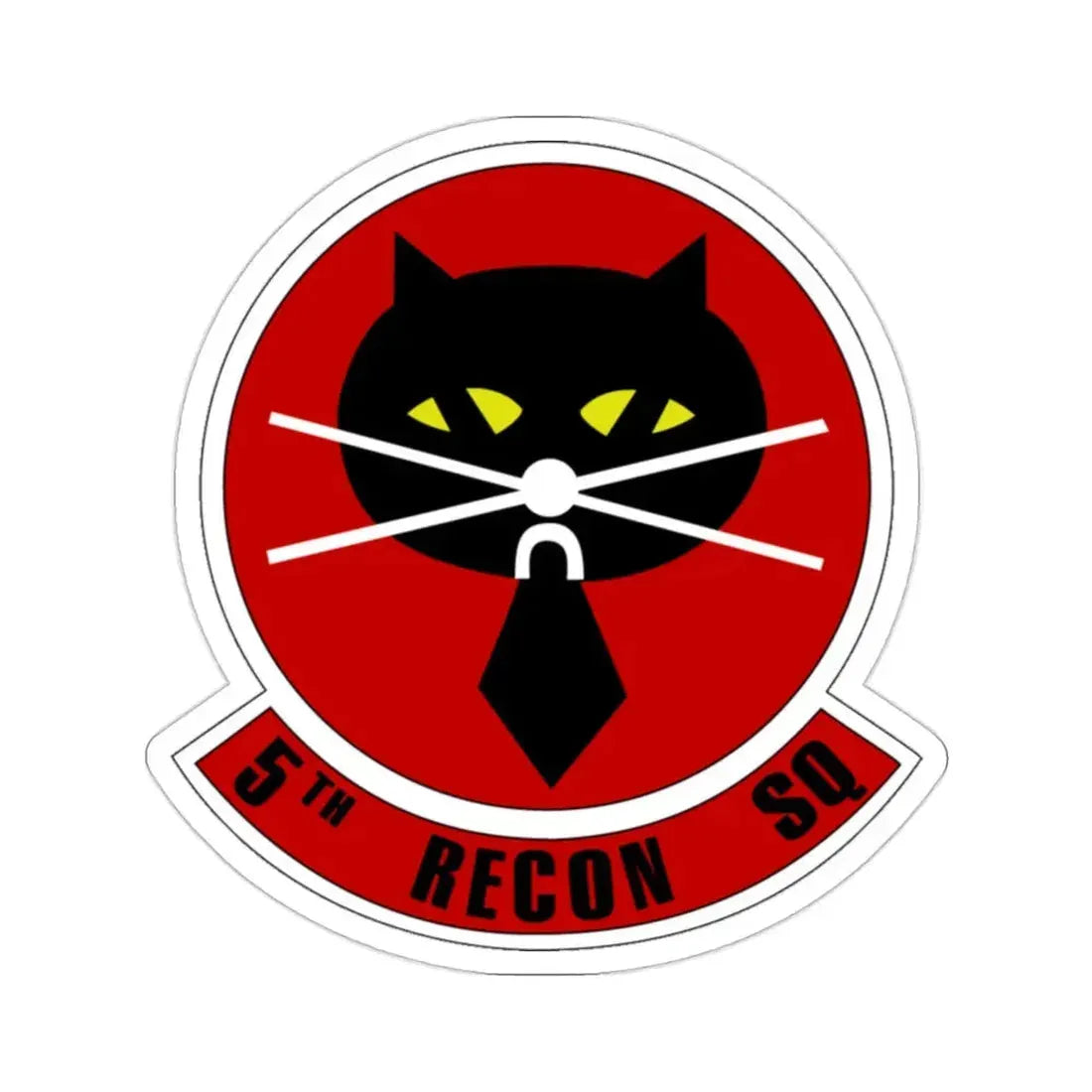 5th Reconnaissance Squadron (U.S. Air Force) STICKER Vinyl Die-Cut Decal - The Sticker Space