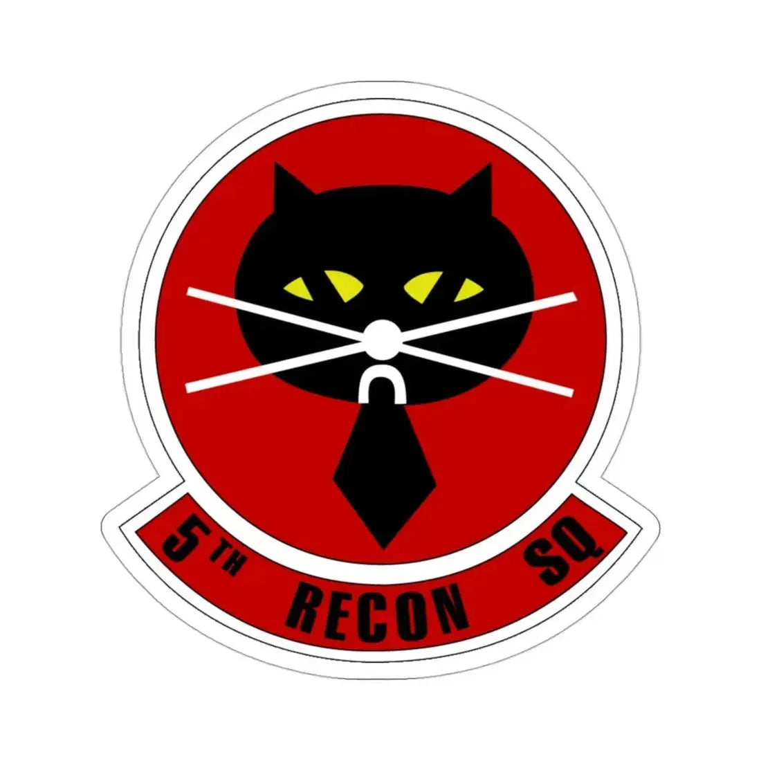 5th Reconnaissance Squadron (U.S. Air Force) STICKER Vinyl Die-Cut Decal - The Sticker Space