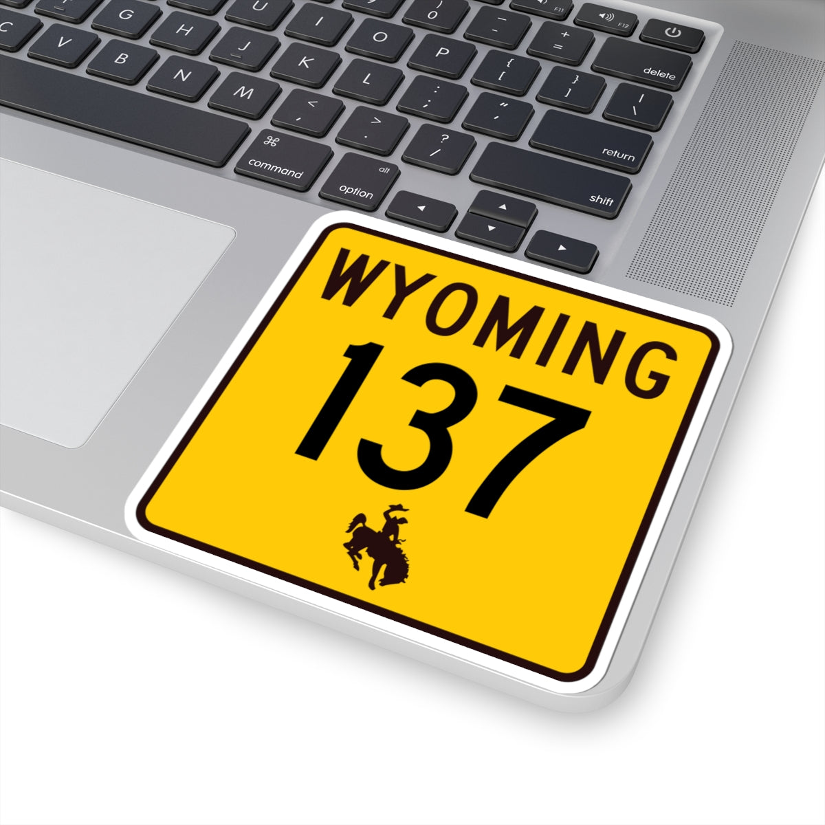 WY-137 (Wyoming) (Road Sign) STICKER Vinyl Kiss-Cut Decal
