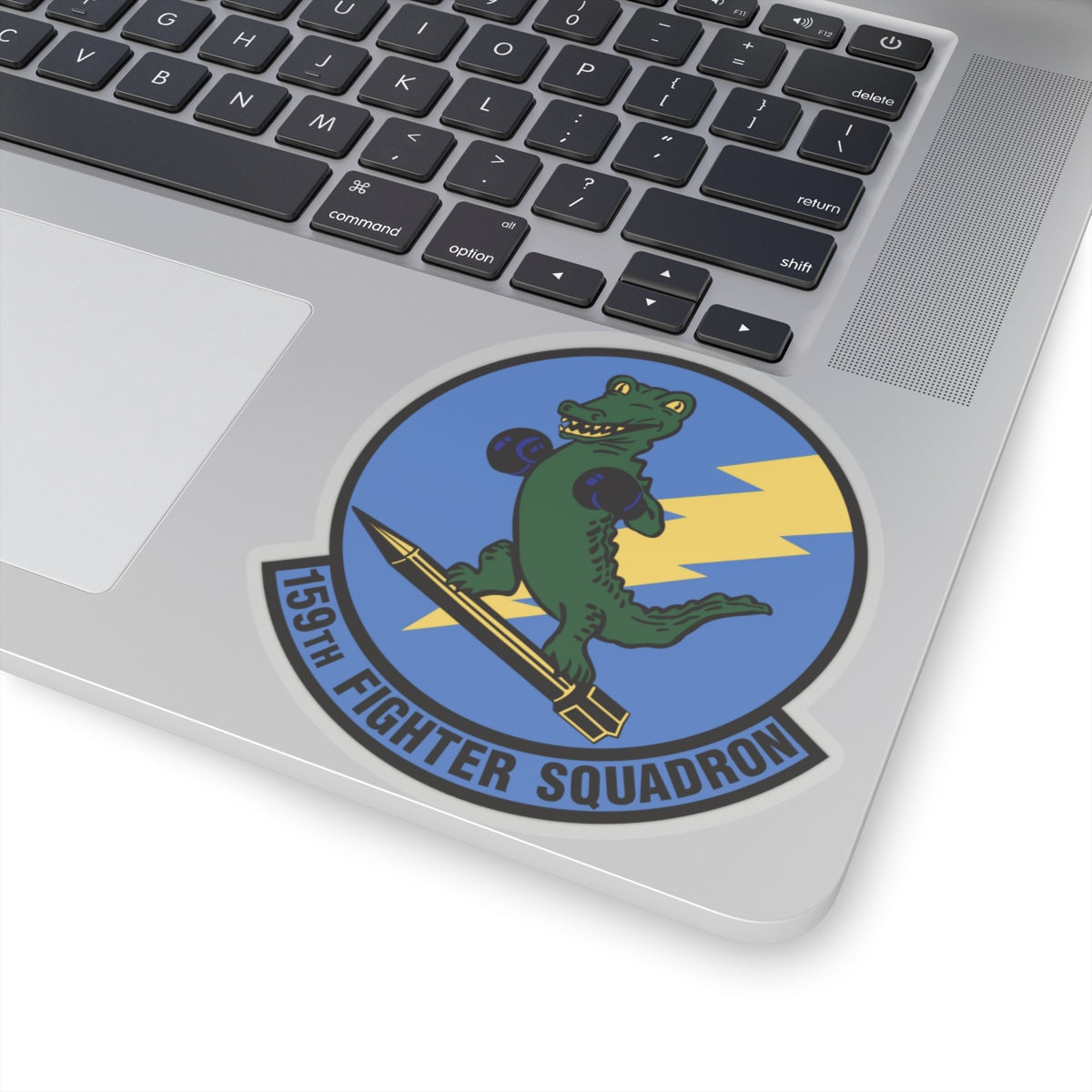 159th Fighter Squadron (U.S. Air Force) STICKER Vinyl Kiss-Cut Decal-The Sticker Space