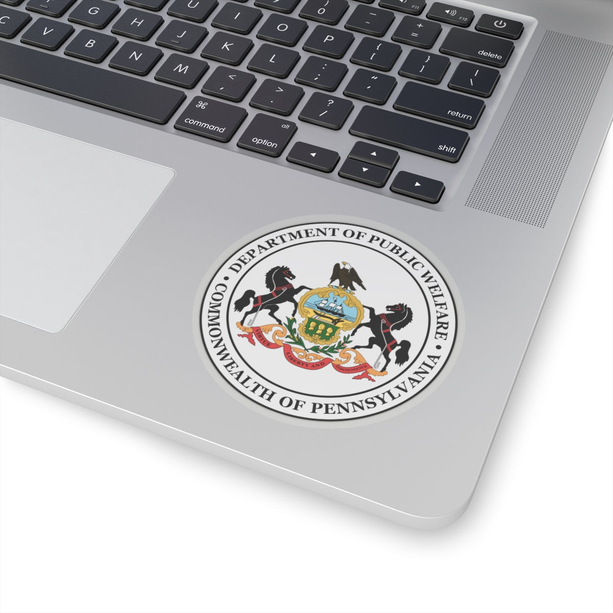 Seal of the Pennsylvania Department of Public Welfare - STICKER Vinyl Kiss-Cut Decal